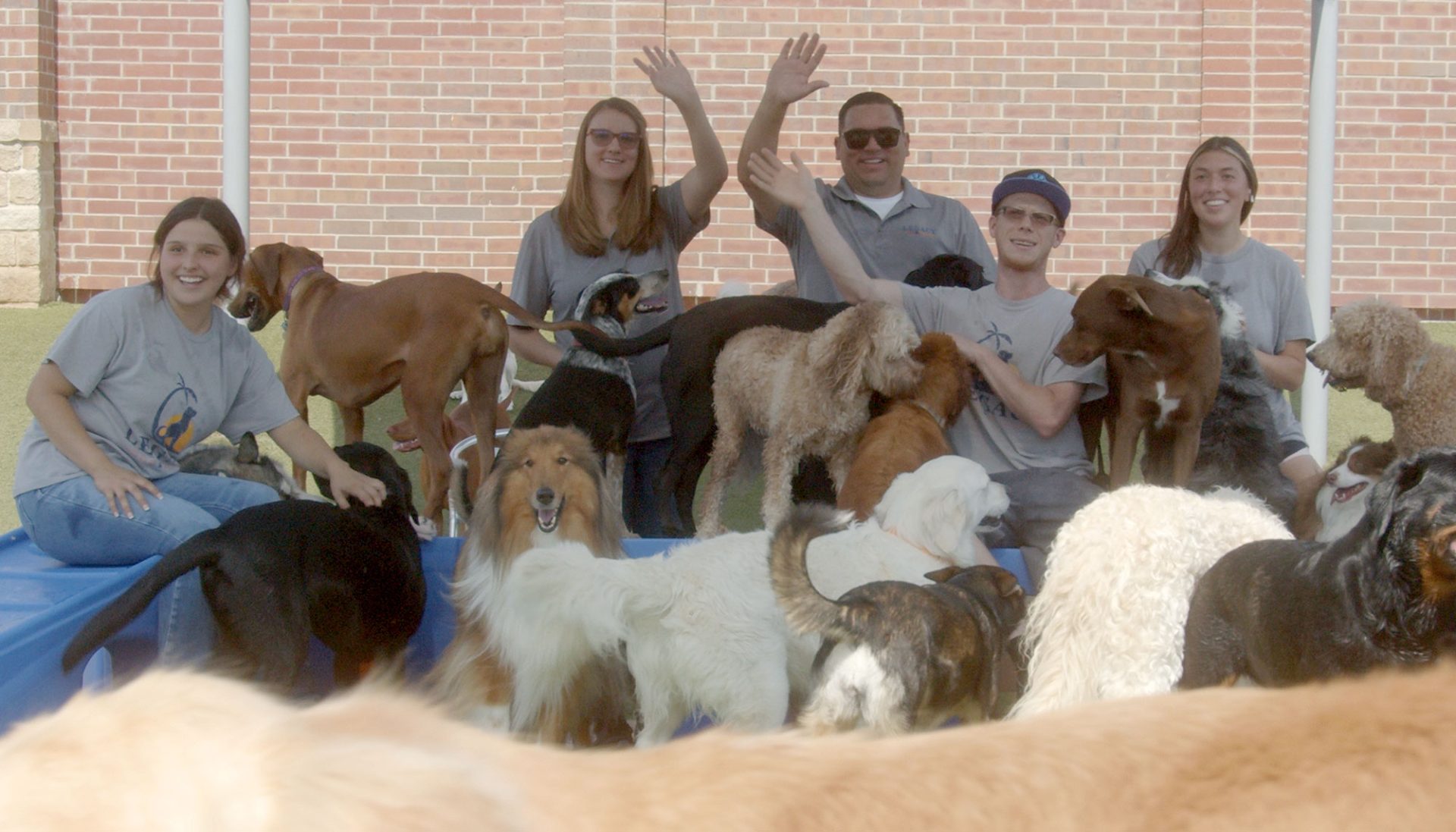 Reservation Legacy Dog Resort